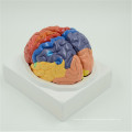 Design de logotipo personalizado cabeça humana crânio modelo de cérebro